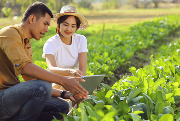 KBSB to Empower Communities Through Agricultural Venture