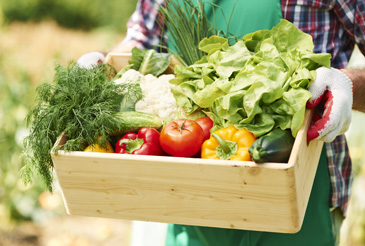 Bringing Fresh, Organic Goods to Your Table
