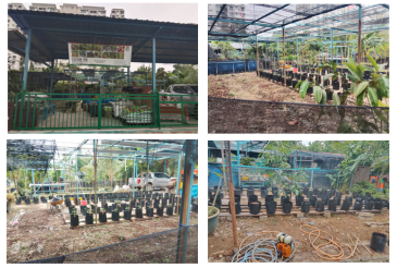 LIE LENGGONG NURSERY SEKSYEN 7 SHAH ALAM / LIE LENGGONG NURSERI SEKSYEN 7 SHAH ALAM