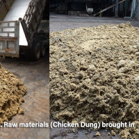 Chicken dung brought in for processing