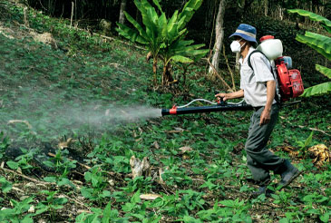 KBSB Product Pesticides