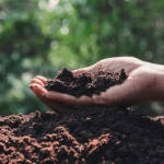 Organic Fertilizer Koperasi Blegenda Selangor Berhad