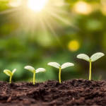 Organic Fertilizer Koperasi Blegenda Selangor Berhad