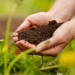 Organic Fertilizer Koperasi Blegenda Selangor Berhad
