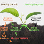 Organic Fertilizer Koperasi Blegenda Selangor Berhad